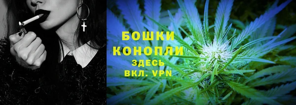 гашик Павлово