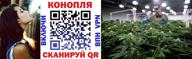Марихуана сатива сколько стоит Саки
